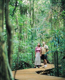Victoria Park Nature Reserve - Accommodation Noosa 1