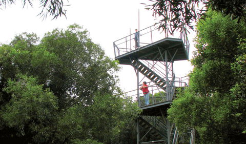 Cape Hawke Lookout - Accommodation Noosa 0