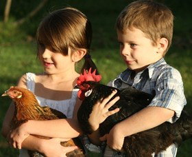 Summerland House Farm - House With No Steps - Accommodation Noosa 2