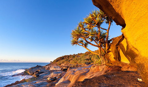 Angourie To Brooms Head - Accommodation Noosa 1