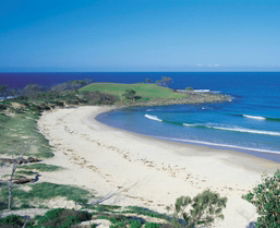 Angourie Beach - Accommodation Noosa 1