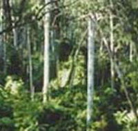 Lind National Park - Accommodation Noosa