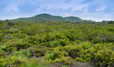 Arakwal National Park - Accommodation Noosa 1