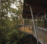 Tarkine Forest Adventures - Dismal Swamp - Accommodation Noosa
