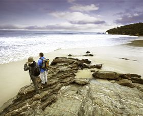 Wilderness Coast Walk - Accommodation Noosa 0