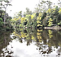 Arthur River - Accommodation Noosa
