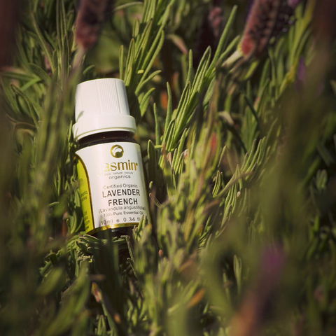 Jasmin Organics Skincare Farm And Factory - Accommodation Noosa 7