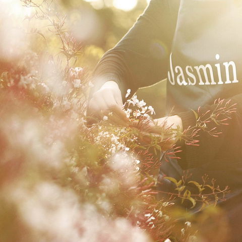 Jasmin Organics Skincare Farm And Factory - Accommodation Noosa 8