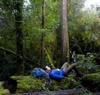 The Tarkine Drive - Accommodation Noosa