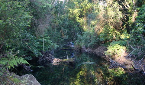 Nadgee Nature Reserve - Accommodation Noosa 2