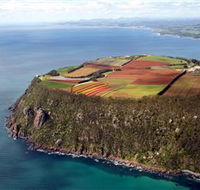 Table Cape - Accommodation Noosa