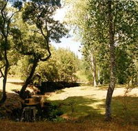 Oldina Picnic Area - Accommodation Noosa