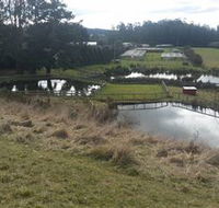 Guide Falls Farm - Accommodation Noosa