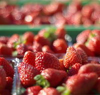 Turners Beach Berry Patch - Accommodation Noosa