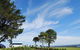 South Coast Scenic Tours - thumb 6