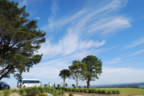 South Coast Scenic Tours - Accommodation Noosa 6