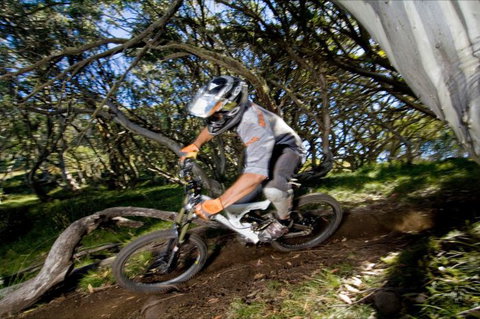 All Terrain Cycles - Accommodation Noosa 0