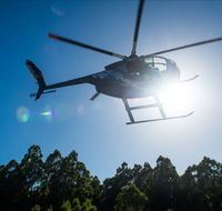 Tall Timbers Adventure Tours - Accommodation Noosa