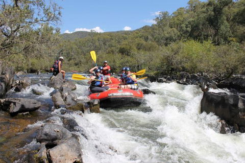 Rafting Australia - Accommodation Noosa 0