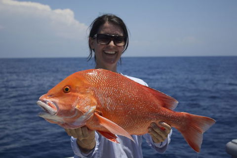 Absolute Ocean Charters - Accommodation Noosa 7