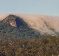 North Queensland Wildscapes Phototours - Accommodation Noosa