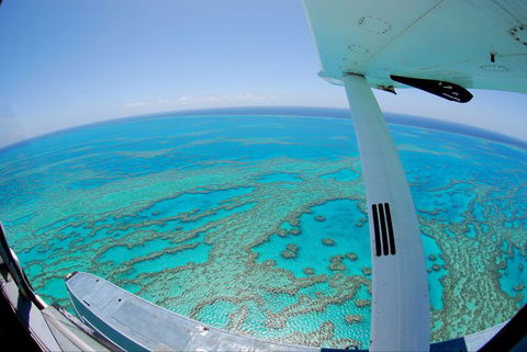 Air Whitsunday Seaplanes - Accommodation Noosa 1
