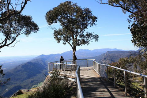 Australian Natural Treasures Touring - Accommodation Noosa 12