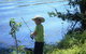 Fraser Coast Amazing Fishing Trails - thumb 11