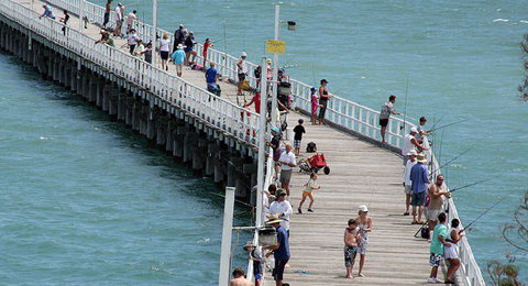 Fraser Coast Amazing Fishing Trails - Accommodation Noosa 27