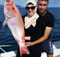 Fish Tales Charters Cairns Sportsfishing Adventure - Accommodation Noosa
