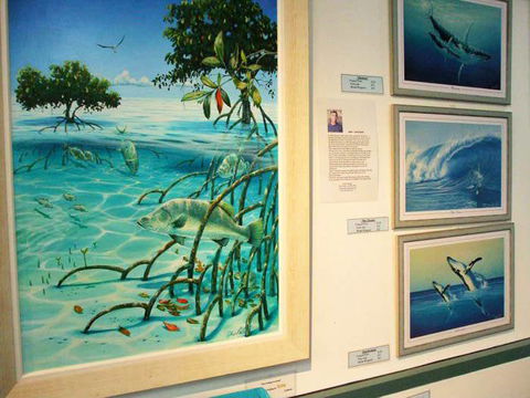 Creations @ The Harbour - Accommodation Noosa 3