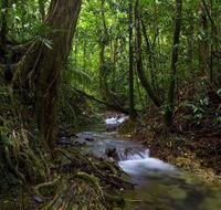 Trek North - Accommodation Noosa