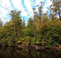 A R Reflections River Cruises - Accommodation Noosa