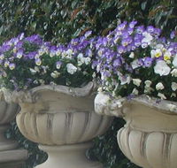 Gardenalia Open Garden and Rare Plant Nursery - Accommodation Noosa