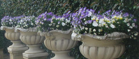 Gardenalia Open Garden And Rare Plant Nursery - Accommodation Noosa 0