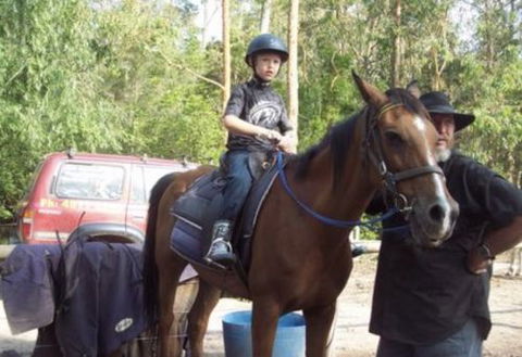 AAA Horse Riding & More - Accommodation Noosa 1