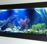 Aquariums in Cairns - Accommodation Noosa