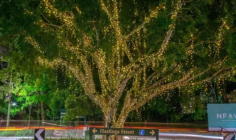 The Sunshine Coast Tour Company - Accommodation Noosa 3