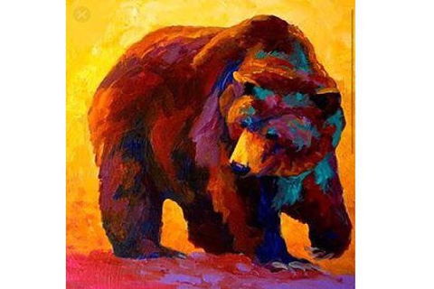 Grizzly Bear - Boardwalk Bar 3.00-5.00pm - Accommodation Noosa 0