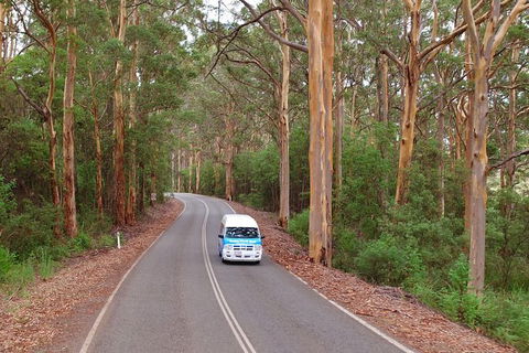 Taste Of The Great Southern - Accommodation Noosa 1
