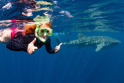 VIP Luxury Chartered Escapes, Exploring The Reef At Your Own Pace - Accommodation Noosa 20
