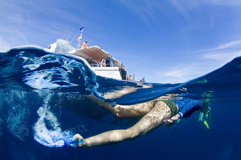 VIP Luxury Chartered Escapes, Exploring The Reef At Your Own Pace - Accommodation Noosa 40