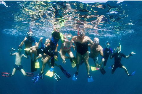 VIP Luxury Chartered Escapes, Exploring The Reef At Your Own Pace - Accommodation Noosa 13