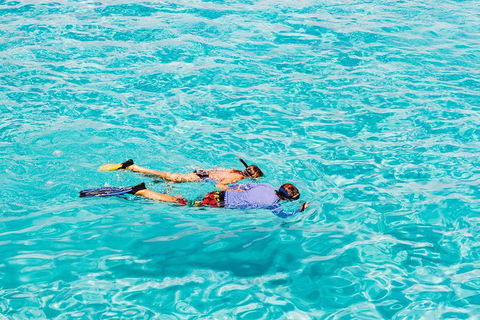 VIP Luxury Chartered Escapes, Exploring The Reef At Your Own Pace - Accommodation Noosa 29