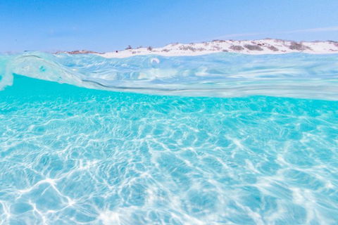 VIP Luxury Chartered Escapes, Exploring The Reef At Your Own Pace - Accommodation Noosa 39