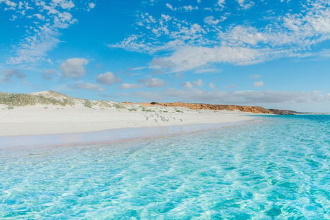 VIP Luxury Chartered Escapes, Exploring The Reef At Your Own Pace - Accommodation Noosa 36