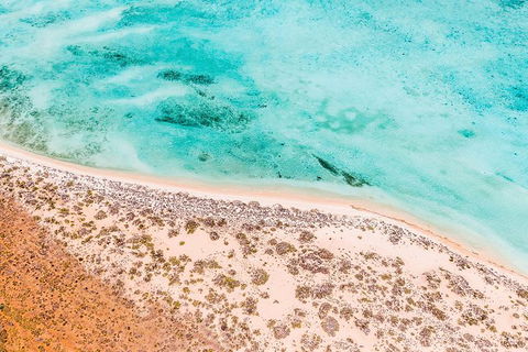 VIP Luxury Chartered Escapes, Exploring The Reef At Your Own Pace - Accommodation Noosa 4