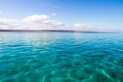 VIP Luxury Chartered Escapes, Exploring The Reef At Your Own Pace - Accommodation Noosa 32