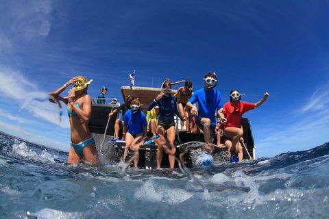 VIP Luxury Chartered Escapes, Exploring The Reef At Your Own Pace - Accommodation Noosa 17