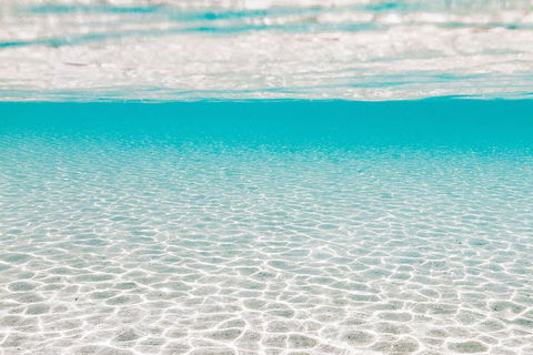 VIP Luxury Chartered Escapes, Exploring The Reef At Your Own Pace - Accommodation Noosa 44